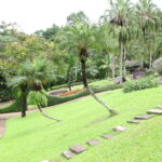 Hillside Landscaping